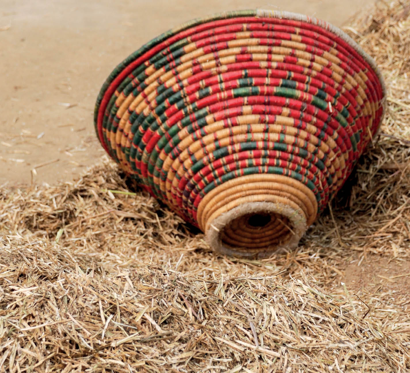 Intra region trade: A regional perspective among SAARC countries